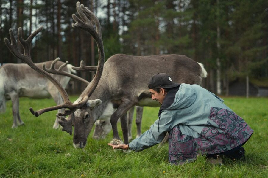 Rovaniemi: Reindeer Farm Visit with Photographer - Feeding the reindeer and getting close