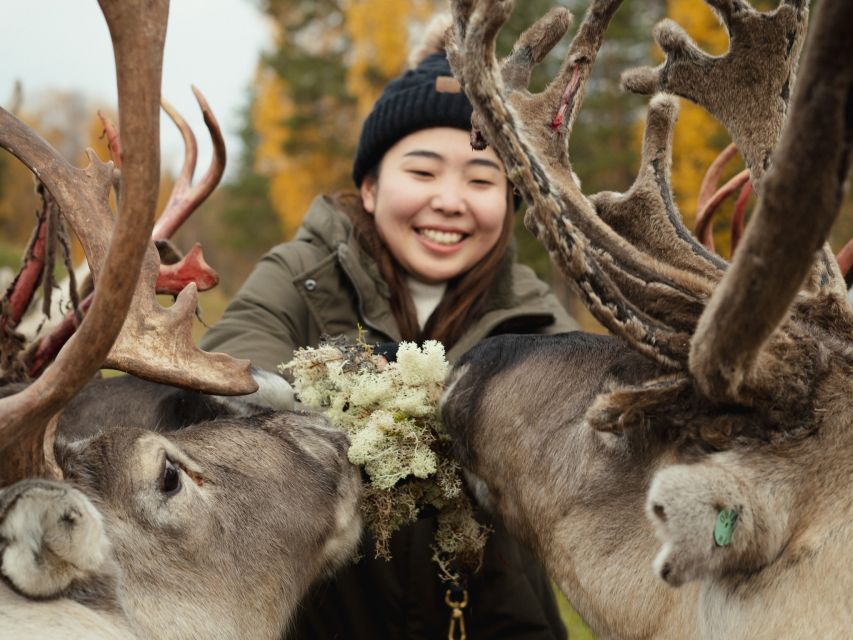 Rovaniemi: Reindeer Farm Visit with Photographer - Who will enjoy this most?