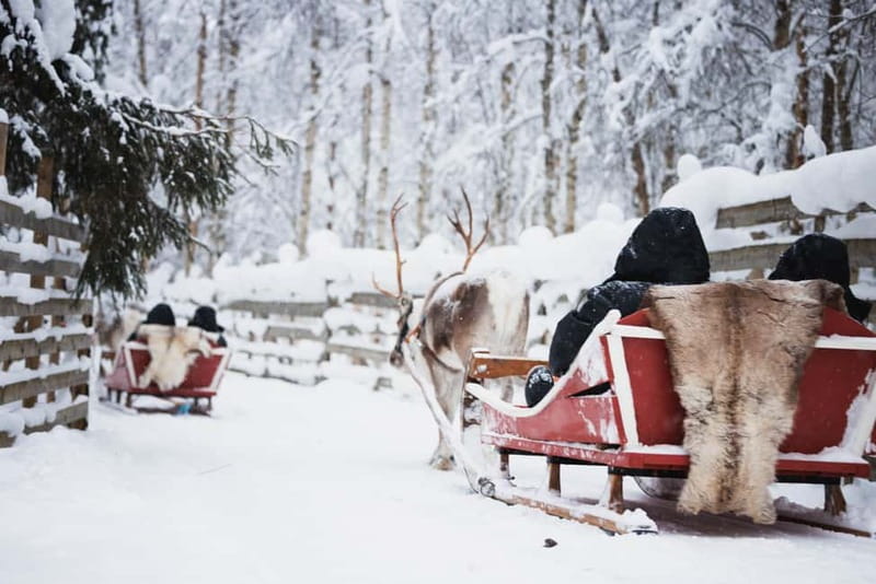 Rovaniemi: Reindeer, Huskies & Santa Claus Village - One morning, three classic Lapland stops