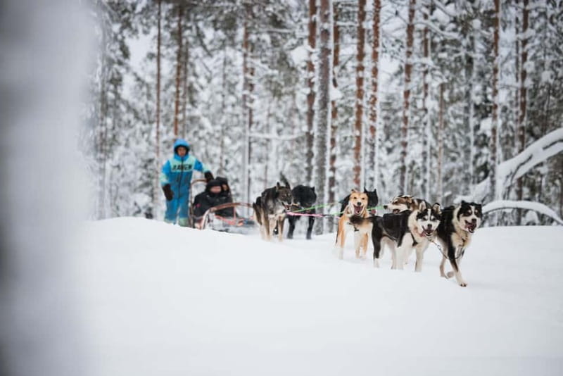 Rovaniemi: Reindeer, Huskies & Santa Claus Village - Who should book this experience?