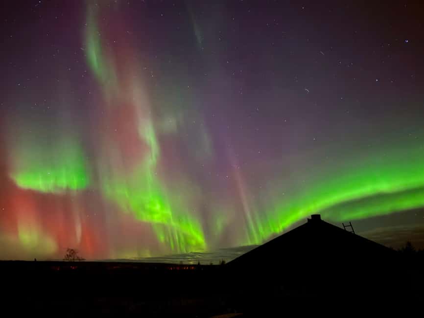 Rovaniemi: Reindeer, Huskies, Santa's Pets & Aurora Hunt - The 500-meter husky sleigh ride