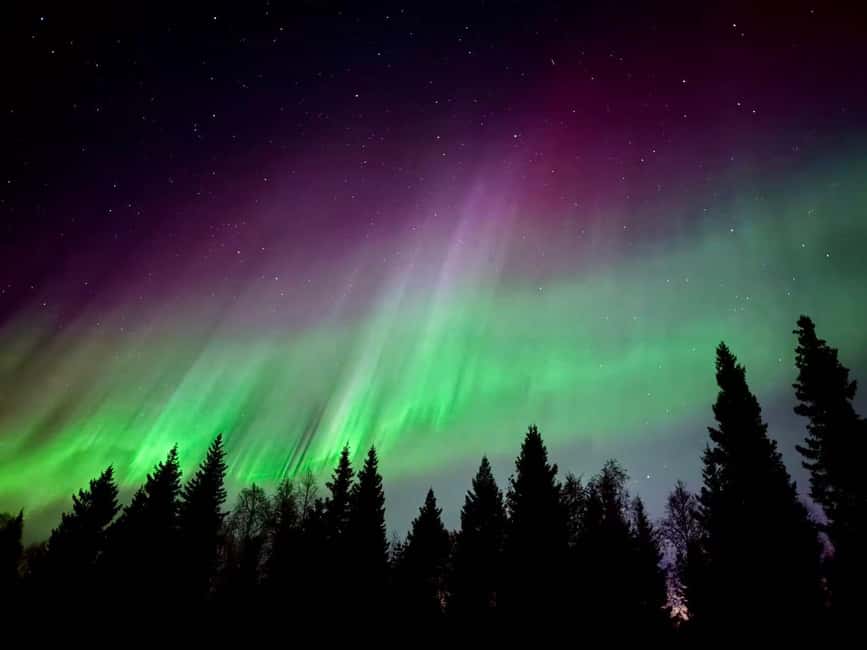 Rovaniemi: Reindeer, Huskies, Santa's Pets & Aurora Hunt - Warm tea, local food, and the outdoor wait