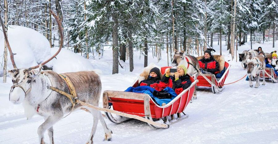 Rovaniemi: Reindeer Sleigh Ride with Hot Drink and Cookies - What the reindeer ride teaches you