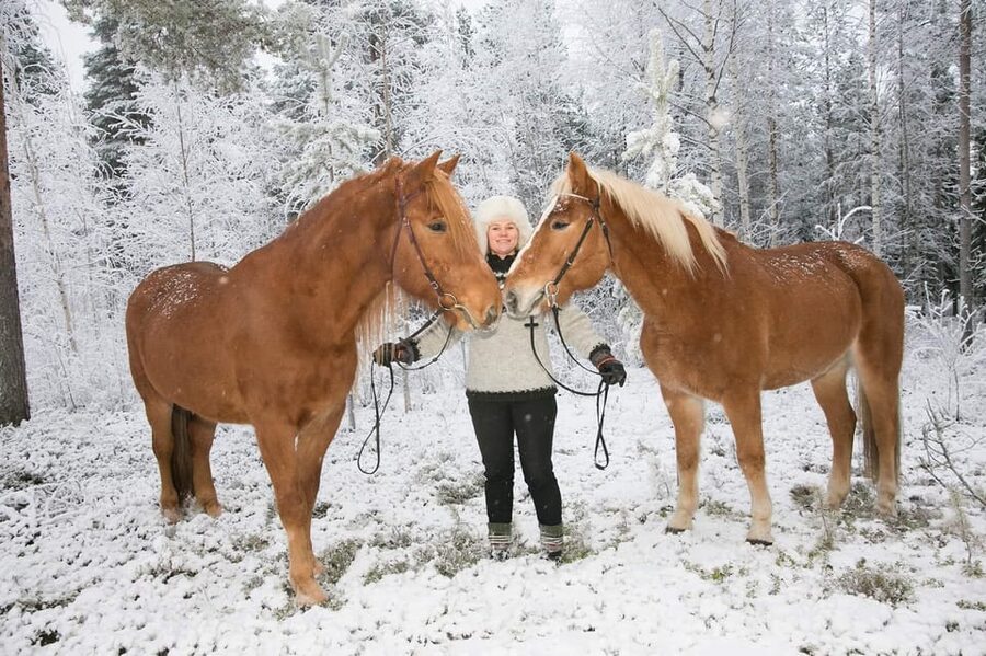 Rovaniemi: Riding Tour with Finnhorses at SCV - The kota hut is more than an afterthought
