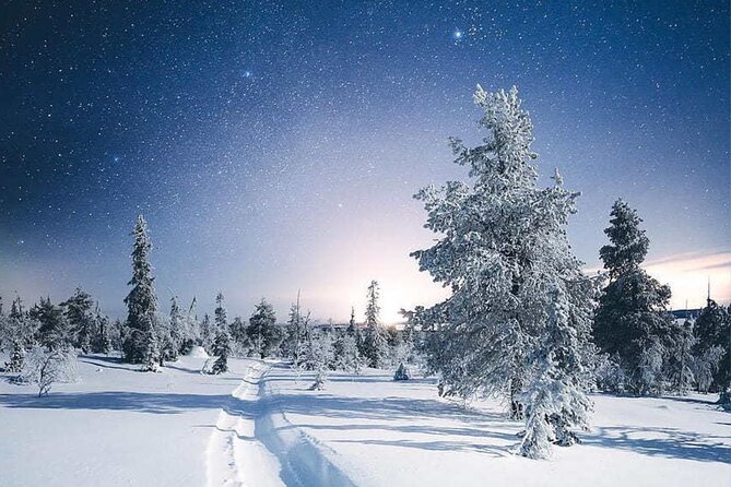 Rovaniemi: Riisitunturi Full-Day Wilderness Adventure & BBQ - Why Riisitunturi is worth the long day