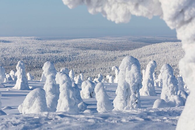 Rovaniemi: Riisitunturi Full-Day Wilderness Adventure & BBQ - Why the group limit of eight matters