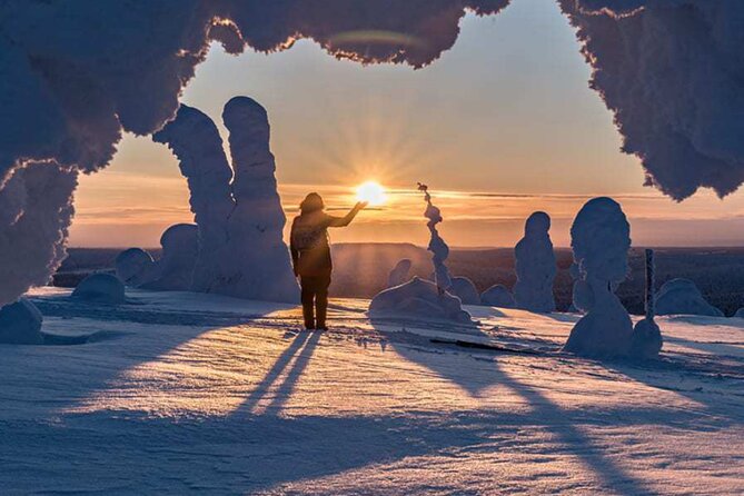 Rovaniemi: Riisitunturi Full-Day Wilderness Adventure & BBQ - Following the snowy trails through the park