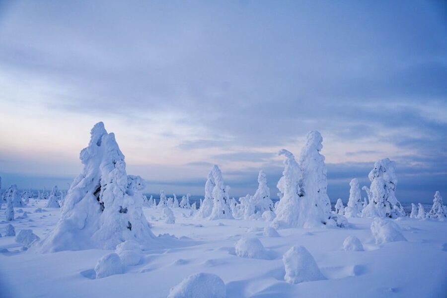 Rovaniemi: Riisitunturi National Park Day Trip with Lunch - Why Riisitunturi is worth the long ride