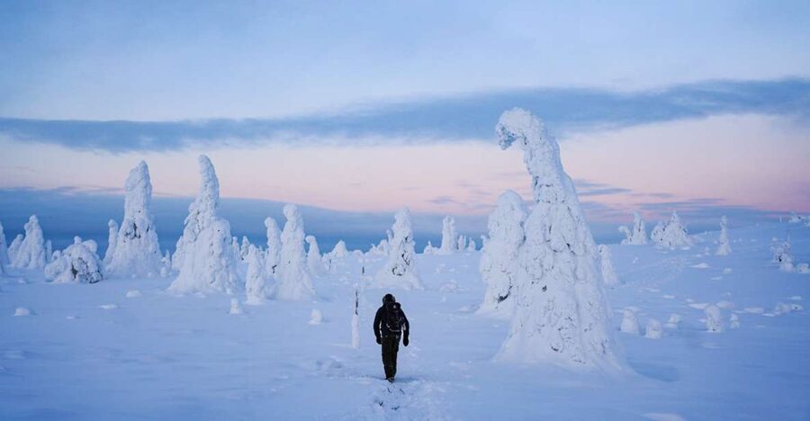 Rovaniemi: Riisitunturi National Park Day Trip with Lunch - Walking the four-kilometre route