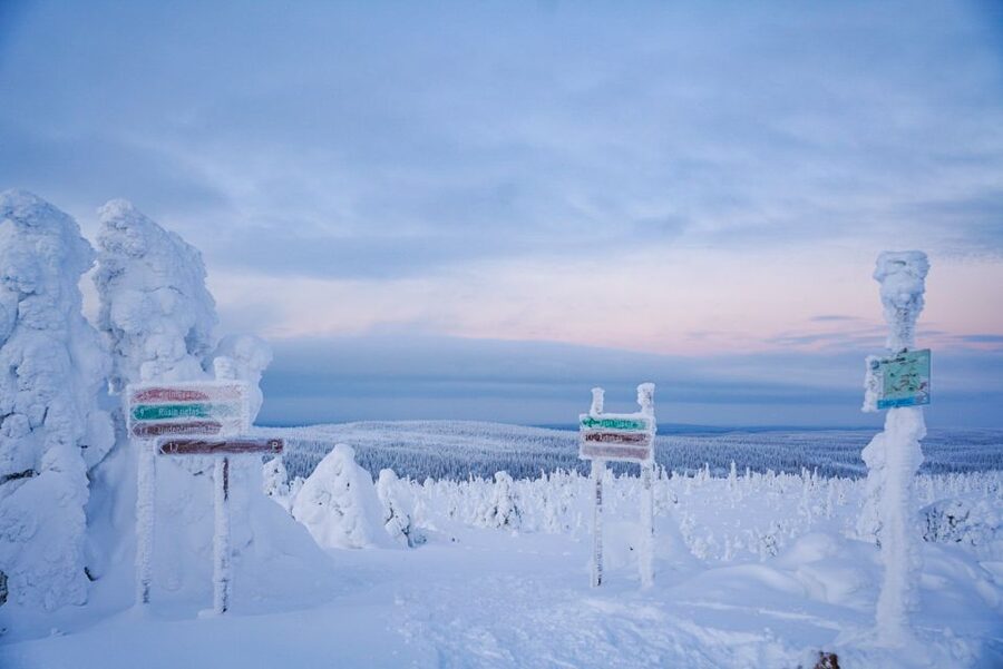 Rovaniemi: Riisitunturi National Park Day Trip with Lunch - Cold, clothing, and physical demands