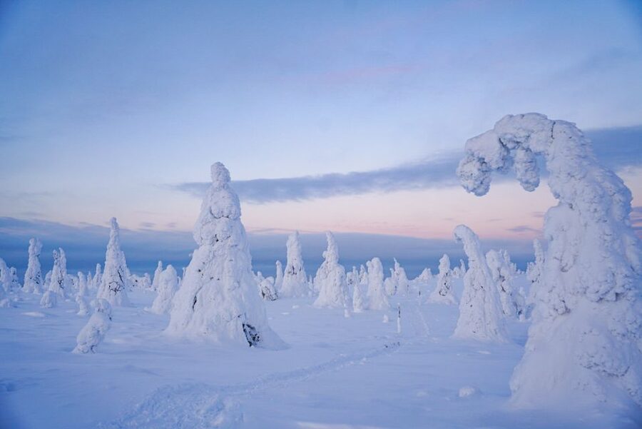 Rovaniemi: Riisitunturi National Park Day Trip with Lunch - Small groups make a real difference