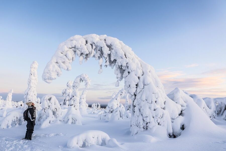 Rovaniemi: Riisitunturi National Park with Pro Photos & BBQ - Warm clothing and winter comfort