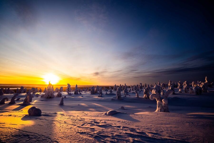Rovaniemi: Riisitunturi National Park with Pro Photos & BBQ - Is $159 good value?