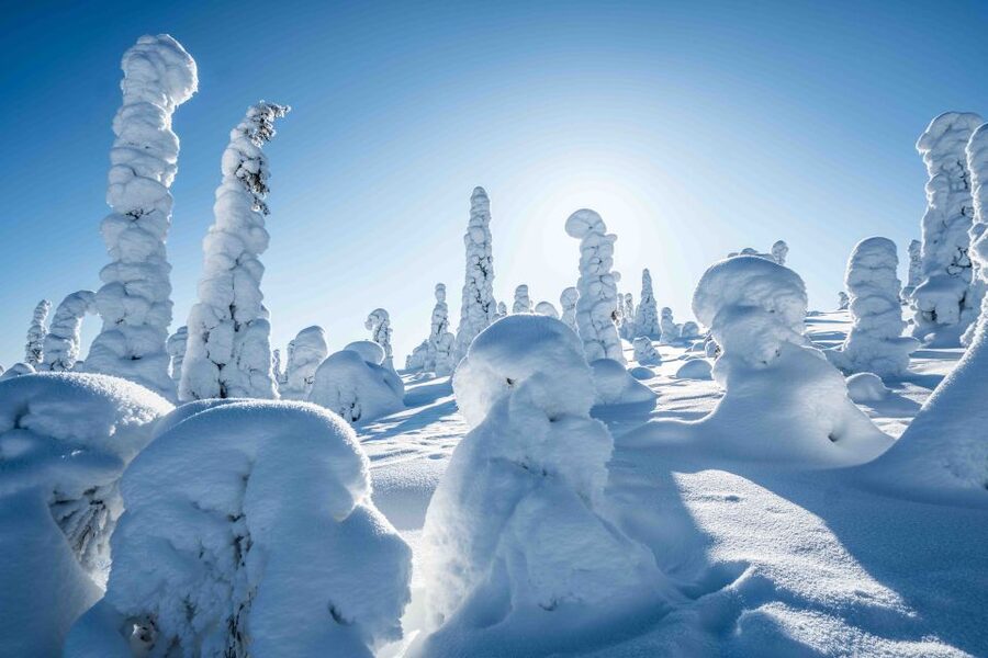 Rovaniemi: Riisitunturi National Park with Pro Photos & BBQ - Who will enjoy this day most?