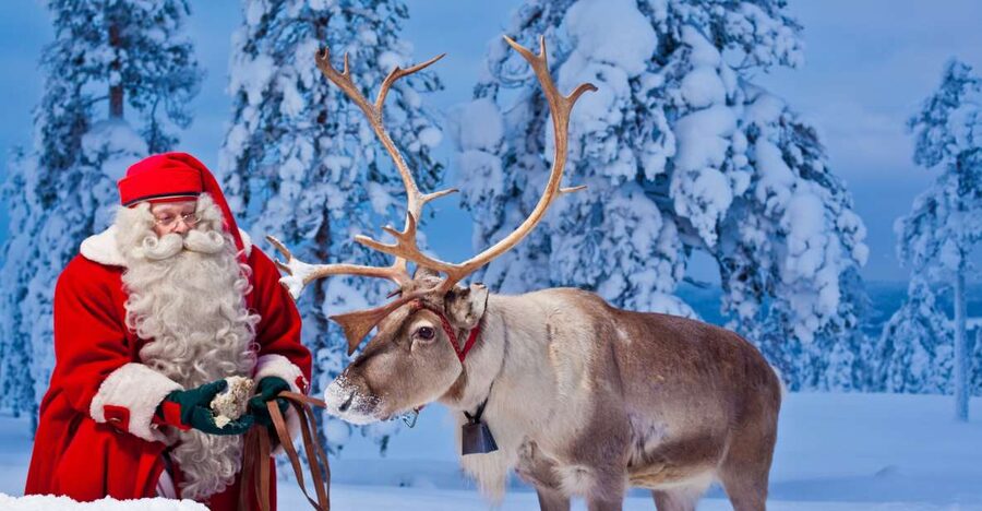 Rovaniemi: Santa Claus Village and Arctic Circle - Reindeer add a distinctly Lappish touch