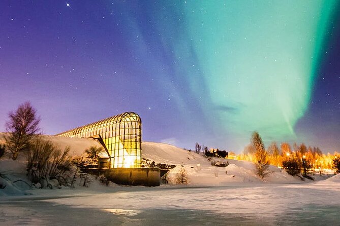 Rovaniemi Santa Claus Village Husky Reindeer Farm Arctic Museum - Husky speed, reindeer calm