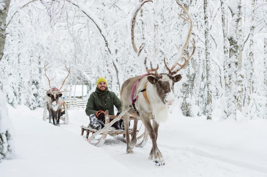Rovaniemi: Santa Claus Village + Husky & Reindeer Sled Ride - Santa Claus Village inside the Arctic Circle