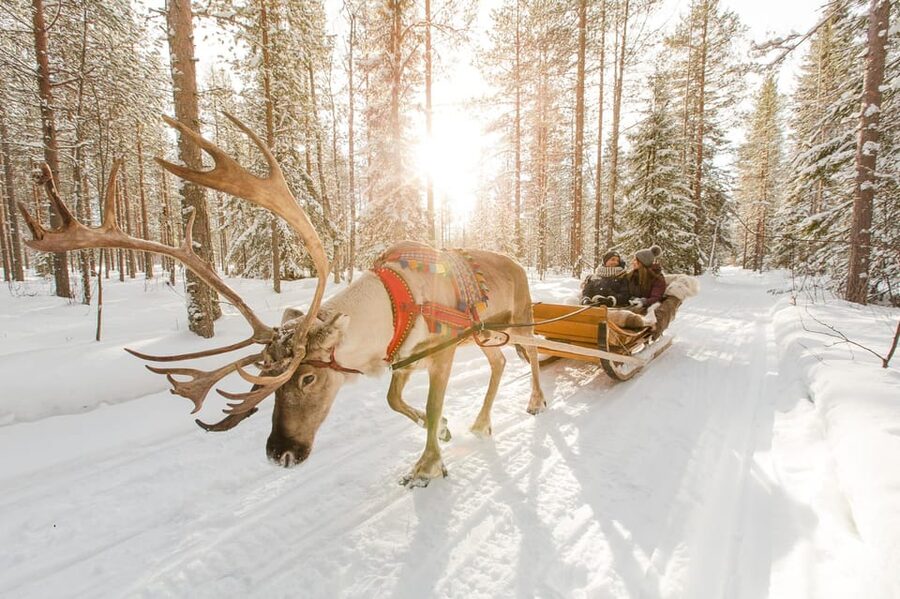 Rovaniemi: Santa Claus Village + Husky & Reindeer Sled Ride - Meeting Santa and keeping the schedule moving