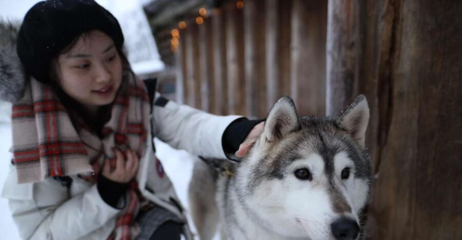 Rovaniemi: Santa Claus Village Tour Huskies & Reindeer Visit - Key points to know before booking