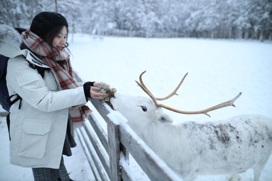 Rovaniemi: Santa Claus Village Tour Huskies & Reindeer Visit - What the $235 price really includes