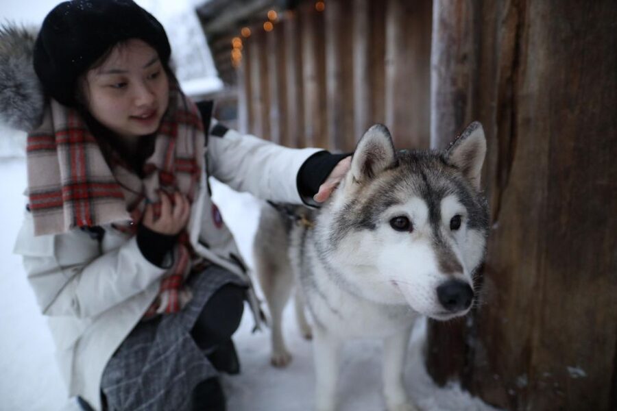 Rovaniemi: Santa Claus Village Tour Huskies & Reindeer Visit - The ride from Rovaniemi sets the pace