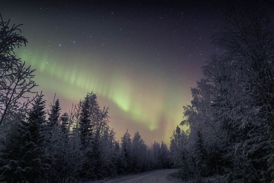 Rovaniemi: Sauna & Ice Swimming Tour with Dinner and Aurora - Northern Lights timing and honest expectations