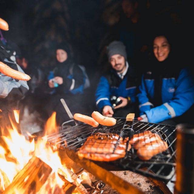 Rovaniemi: Search for Northern Lights Snowmobiling Trip - Riding into Rovaniemi’s winter darkness