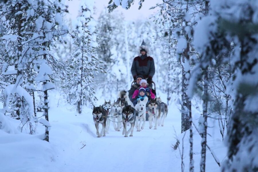 Rovaniemi: Self-Drive Husky Sleigh Ride Adventure - Is $250 good value for this Rovaniemi husky ride?