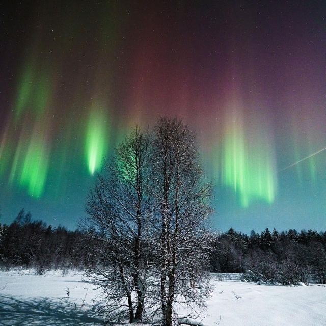 Rovaniemi: Small Group Aurora Hunt-full money back guarantee - Who should book this experience