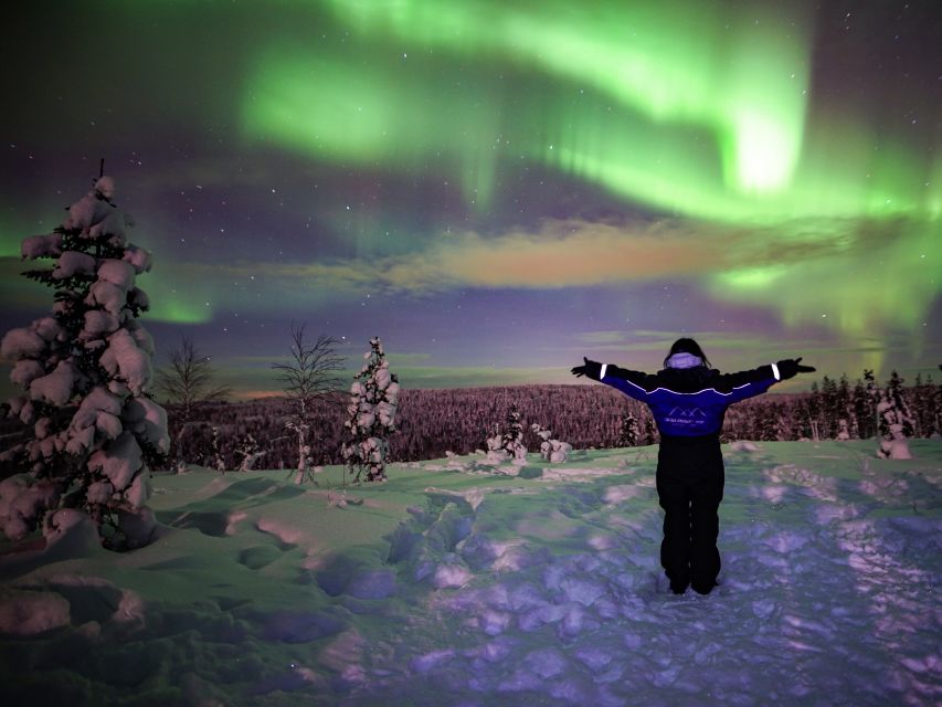 Rovaniemi: Small-Group Northern Lights Wilderness Tour - The campfire is more than a backup plan
