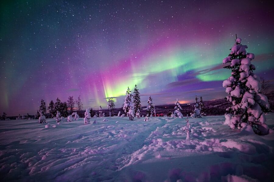 Rovaniemi: Small-Group Northern Lights Wilderness Tour - What the guides add to the night