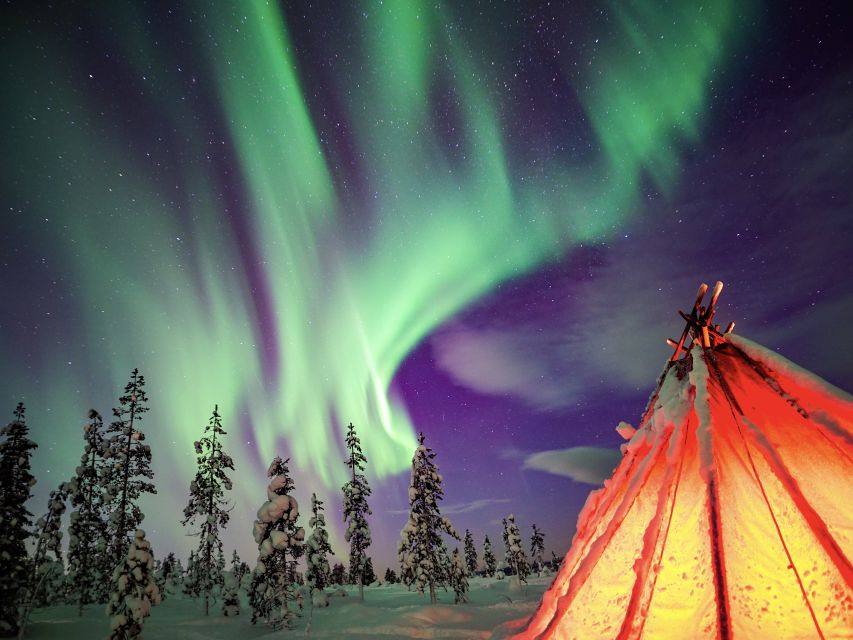 Rovaniemi: Small-Group Northern Lights Wilderness Tour - Professional photos are a real part of the value
