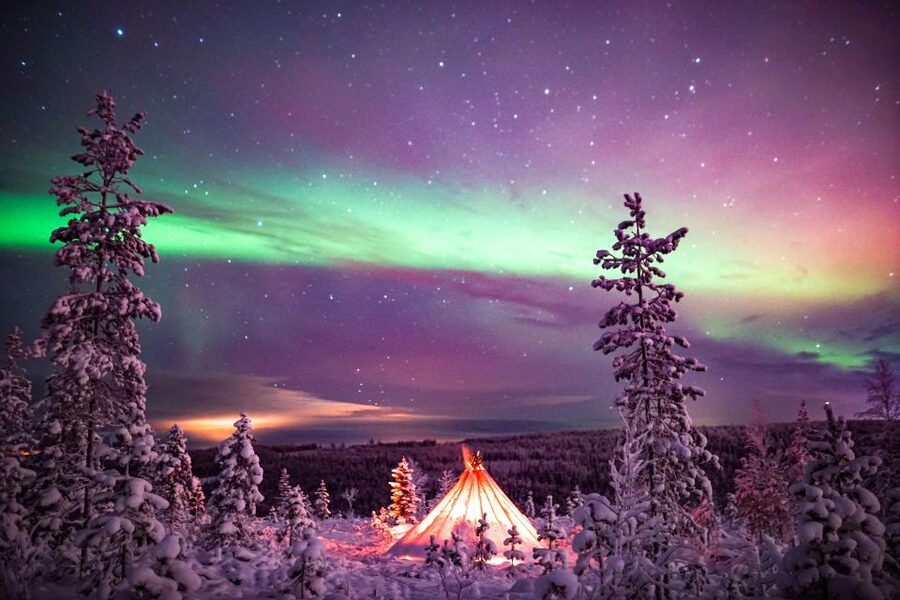 Rovaniemi: Small-Group Northern Lights Wilderness Tour - Who should book this Rovaniemi tour?