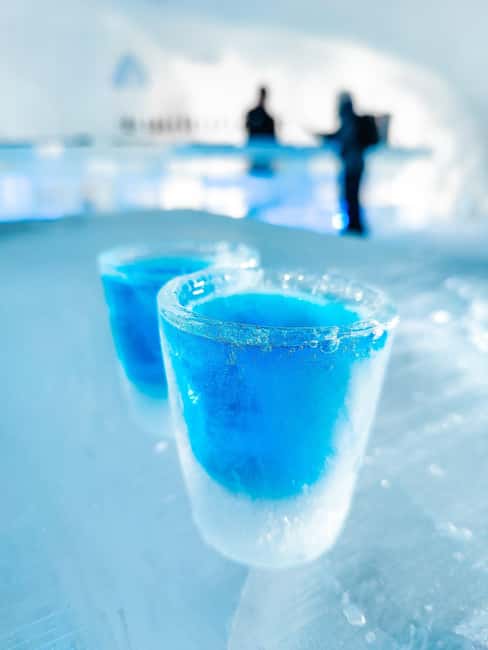 Rovaniemi: Snow Hotel Tour and Ice Restaurant Dinner - Who should choose this evening?