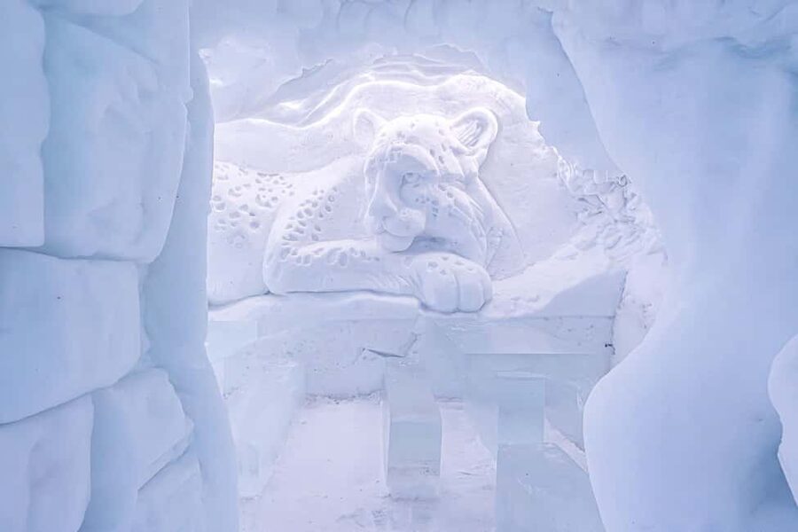 Rovaniemi: Snowman World Entrance Ticket - Timing, queues, and seasonal conditions