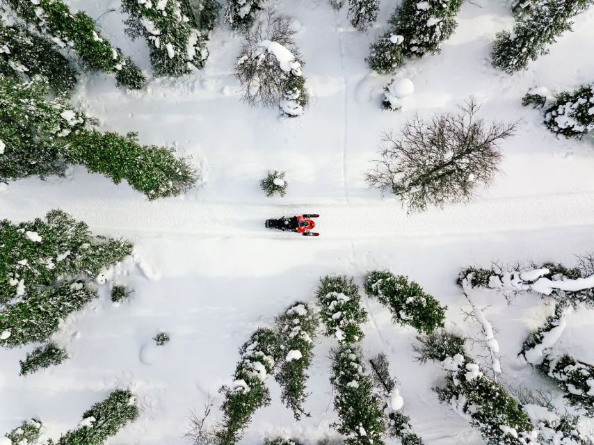 Rovaniemi: Snowmobile Safari Adventure - The short trip from Rovaniemi to the forest