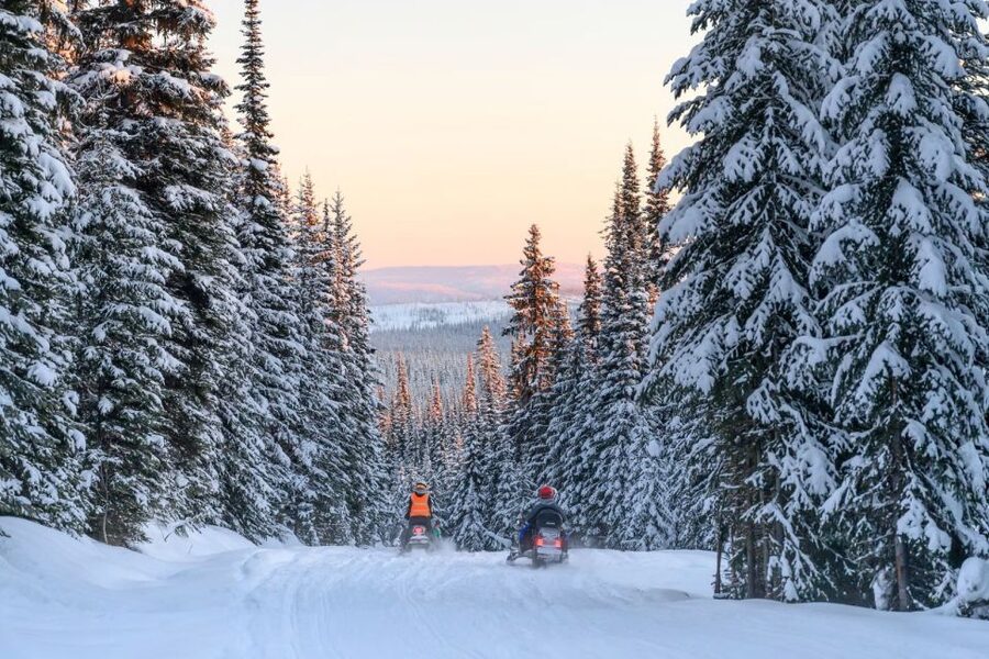 Rovaniemi: Snowmobile Safari Adventure - Blueberry juice, biscuits, and a warm finish