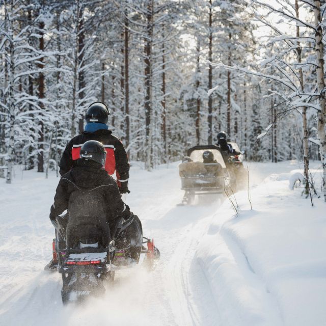 Rovaniemi: Snowmobile Safari in the Arctic Circle - Key points to know before booking