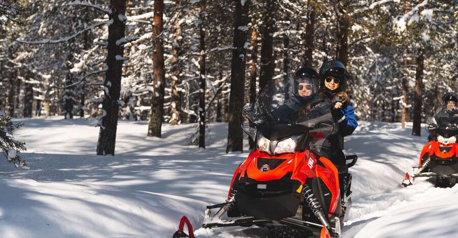 Rovaniemi: Snowmobile Safari into the Arctic Circle Forest - Key points to know before you book