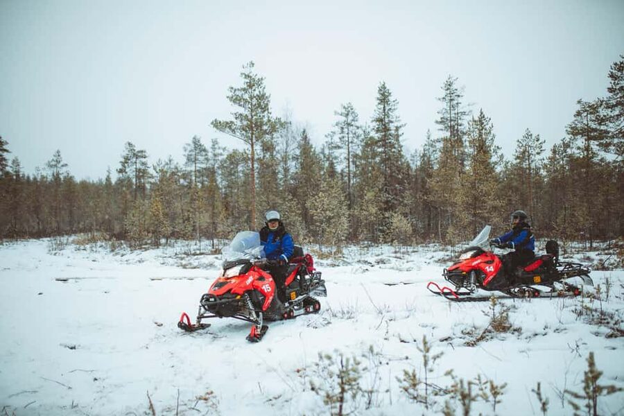 Rovaniemi: Snowmobile Safari into the Wilderness - Should You Book This Rovaniemi Snowmobile Safari?