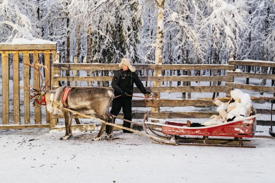 Rovaniemi: Snowmobile Safari, Reindeer & Husky Sleigh Ride - Guides make a practical difference