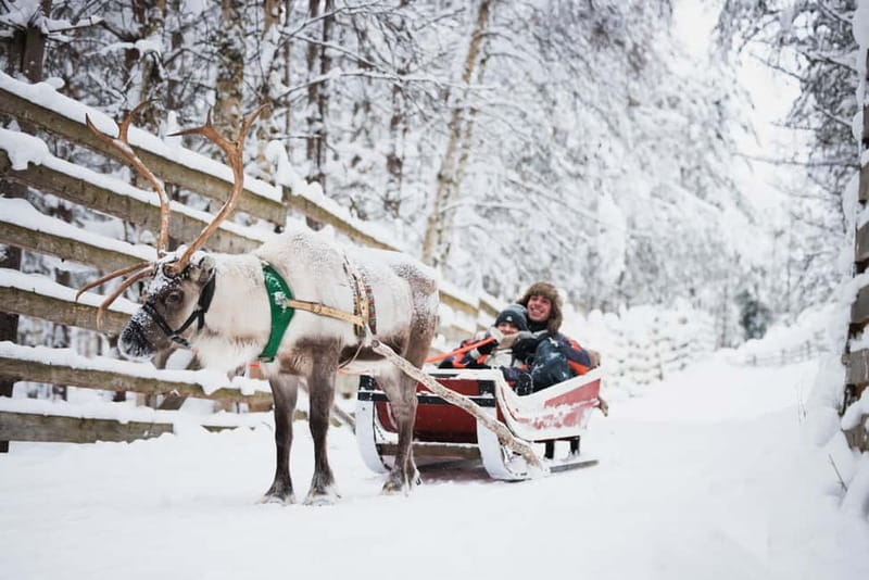 Rovaniemi: Snowmobile Tour and Reindeer Experience - Meeting the reindeer and their herders