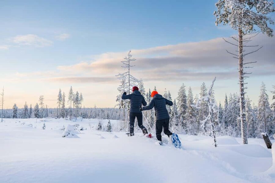 Rovaniemi: Snowshoe Wilderness Adventure - Leaving Rovaniemi for the Arctic forest