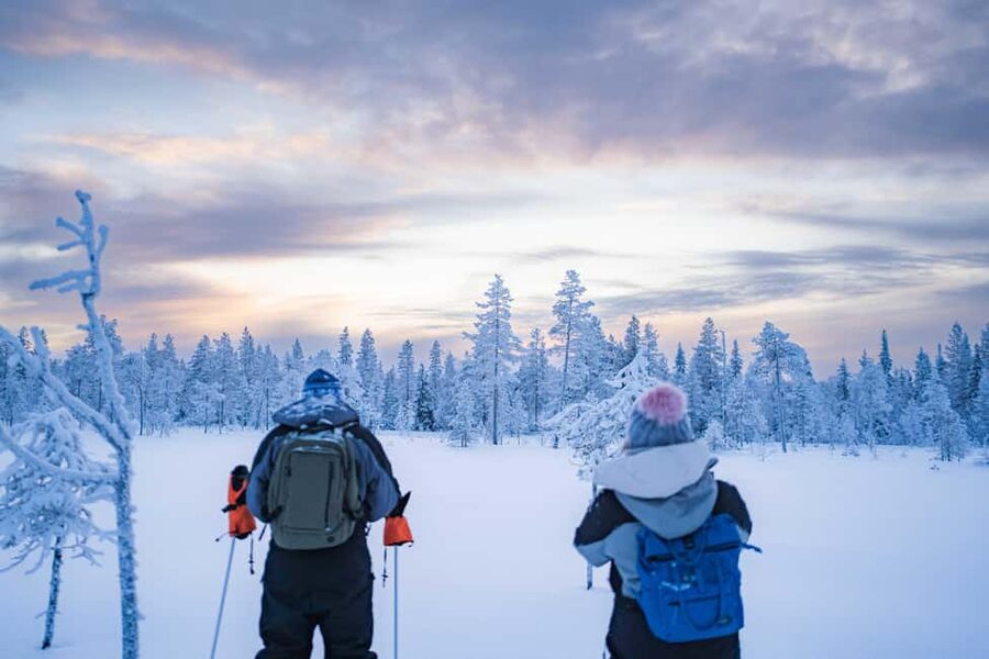 Rovaniemi: Snowshoe Wilderness Adventure - Walking through untouched Arctic scenery