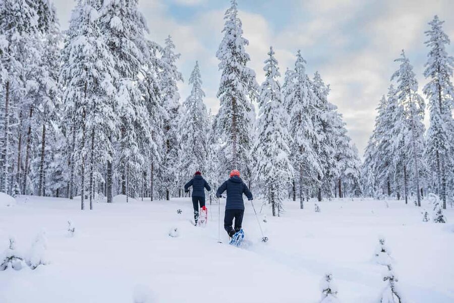 Rovaniemi: Snowshoe Wilderness Adventure - Learning to photograph snow, trees, and winter light