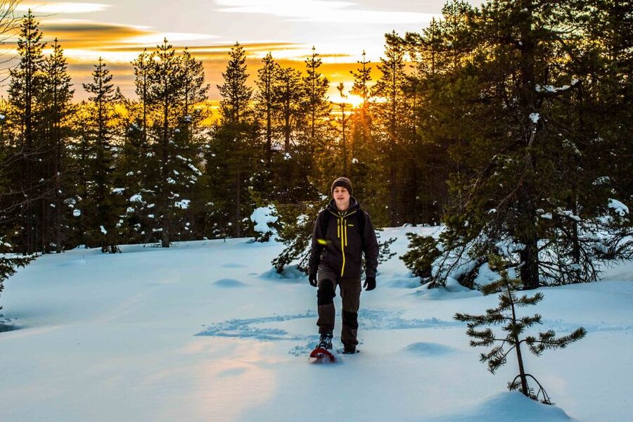 Rovaniemi: Snowshoe Wilderness Adventure - What the $119 price really covers
