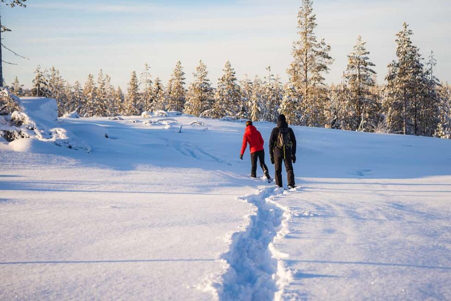 Rovaniemi: Snowshoe Wilderness Adventure - Who will enjoy this most
