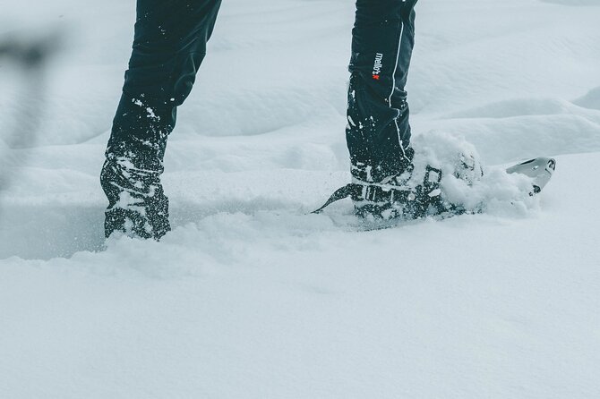 Rovaniemi: Snowshoeing in a magical snowy forest - What the 1.5-hour snowshoe walk feels like