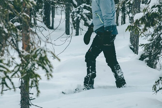 Rovaniemi: Snowshoeing in a magical snowy forest - Photos from the guide, not a staged photo session