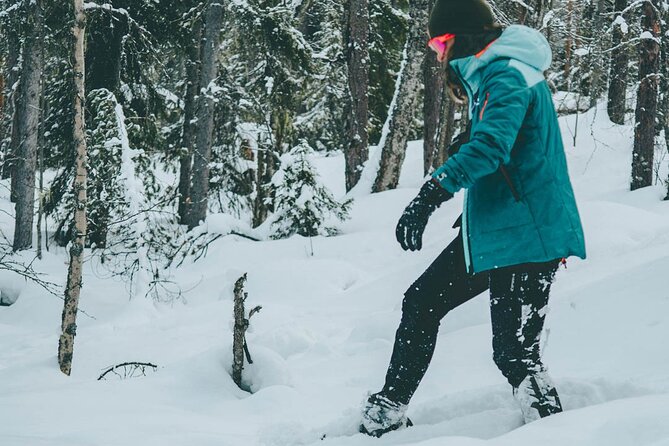Rovaniemi: Snowshoeing in a magical snowy forest - Who should book this snowshoe trip